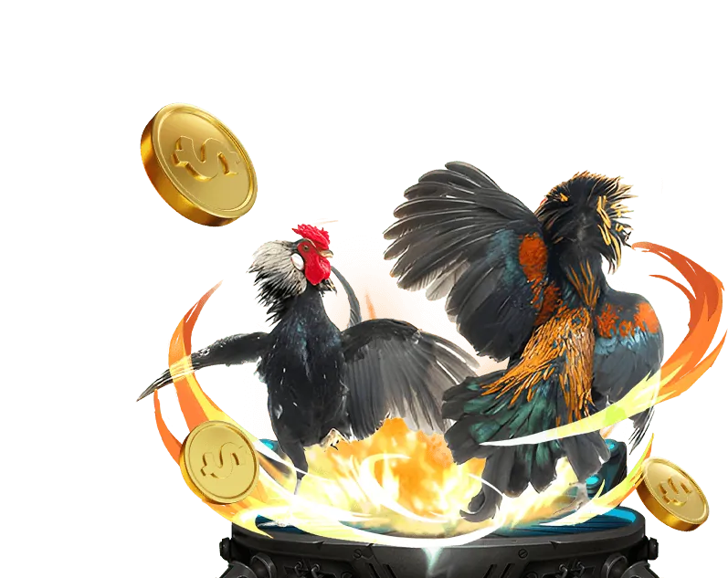 Đa dạng trò chơi và nền tảng giải trí toàn diện tại Win55