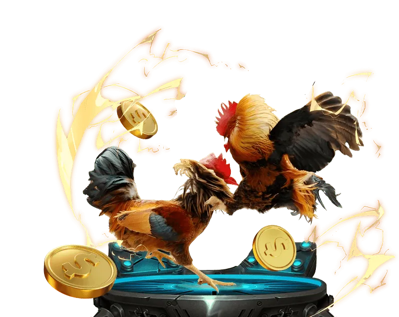 Cá cược thể thao Win55